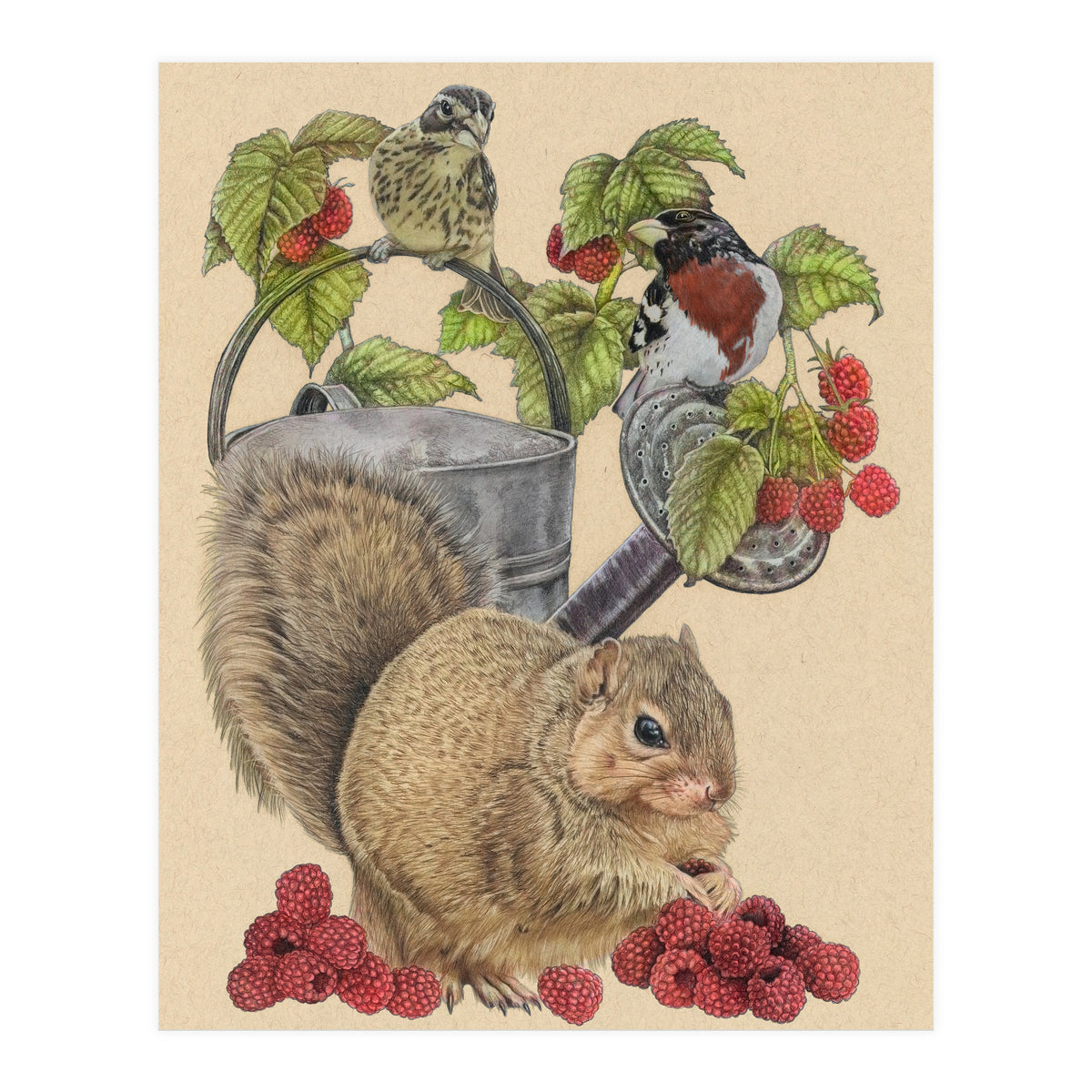 Squirrel Bgmatch (Print Only)
