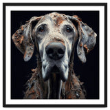 Old Dog 04 thumbnail