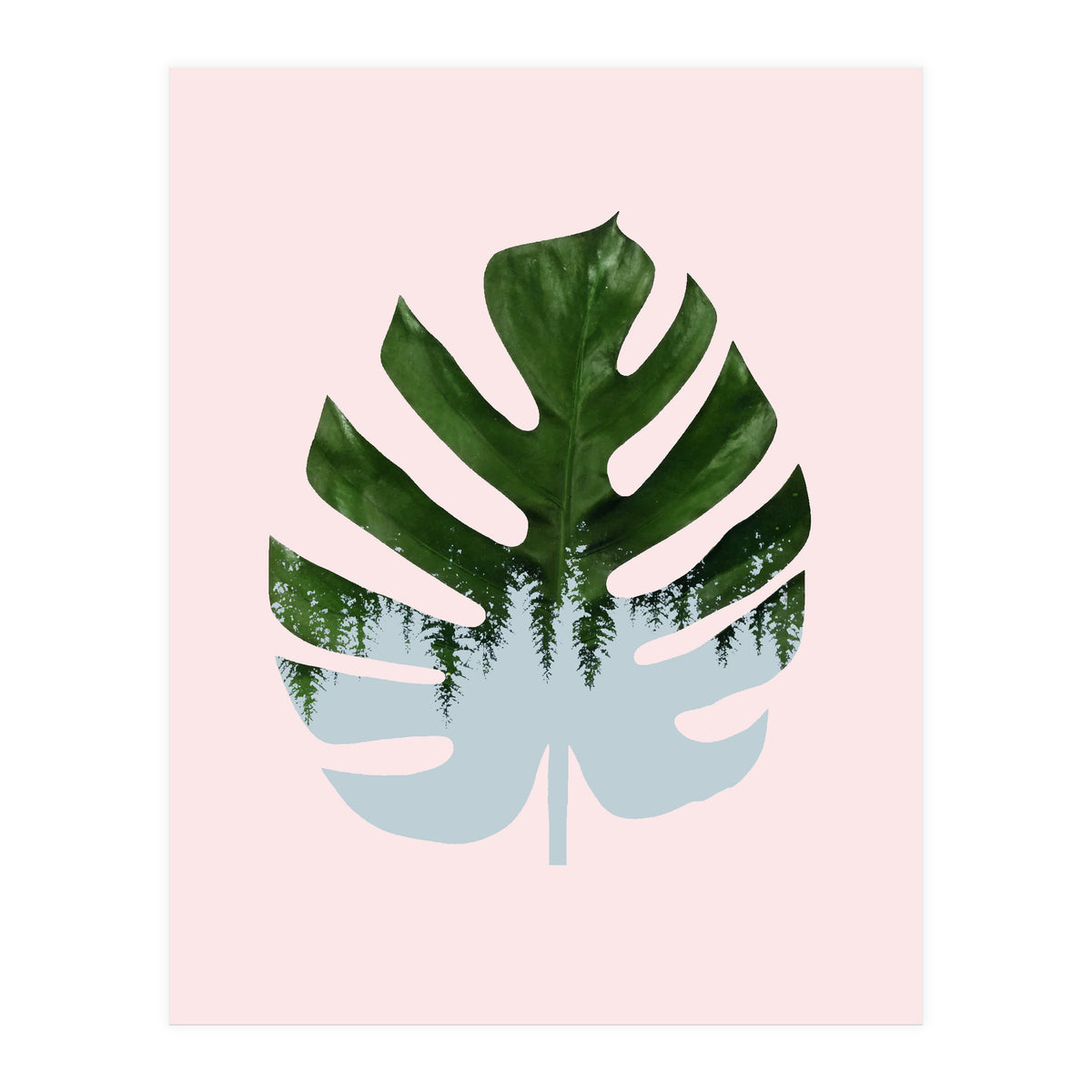 Monstera (Print Only)