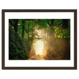 Hare in paradise thumbnail