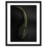 Gourds No 9 Color Version