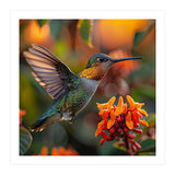 Hummingbird Hovering Near Orange Flowers (Print Only) thumbnail