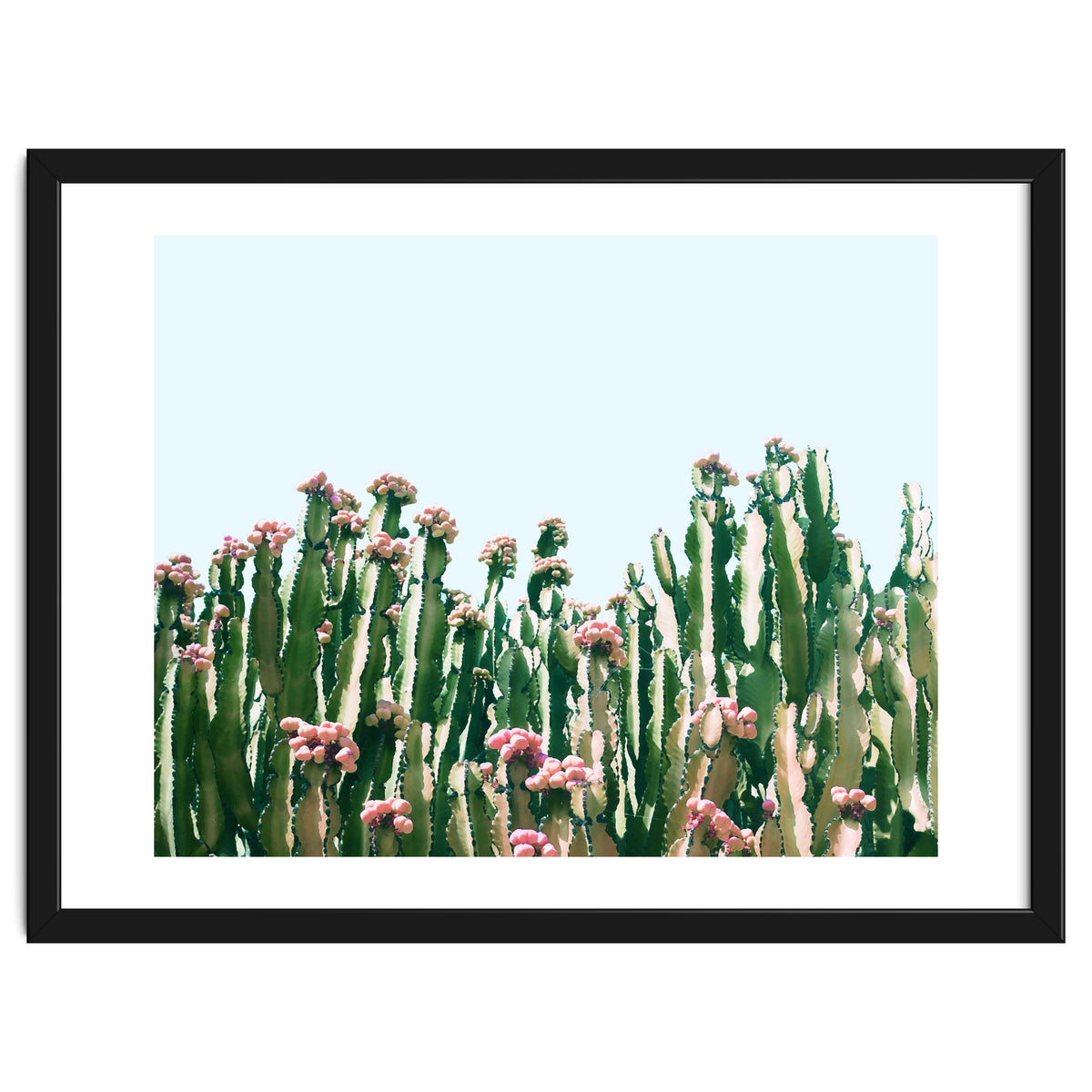 Blush Cactus #society6 #decor #buyart