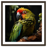 Vibrant Macaw Parrot thumbnail
