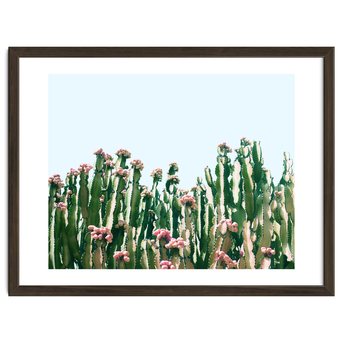 Blush Cactus #society6 #decor #buyart
