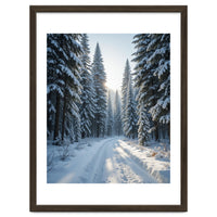 Serene Winter Wonderland Forest Road