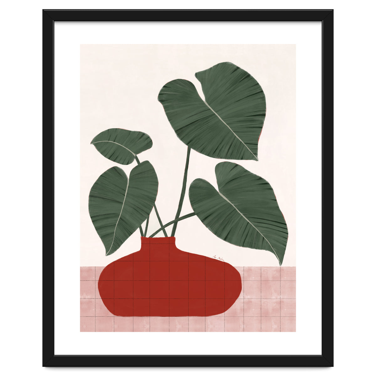 Philodendron Gloriosum plant