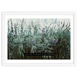 Photography - Summer Garden thumbnail