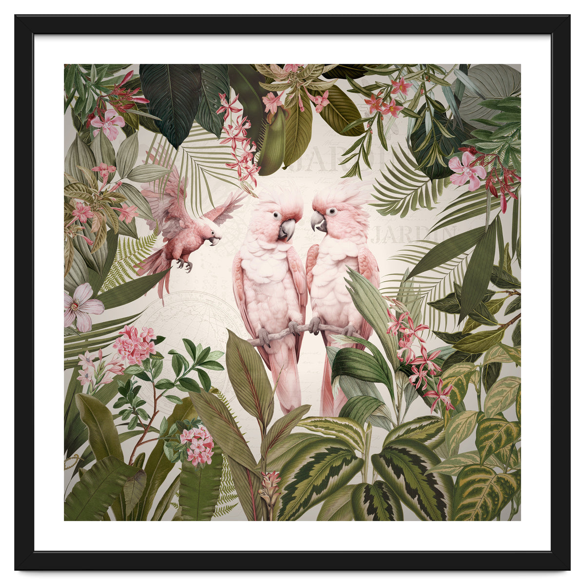 Pink Parrots Exotic Rainforest