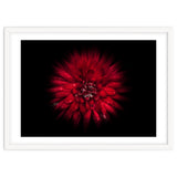 Backyard Flowers No 45 Color Flow Version thumbnail