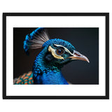 Close Up Peacock Head Blue Green Feather thumbnail