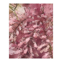 Pink Blossom (Print Only)