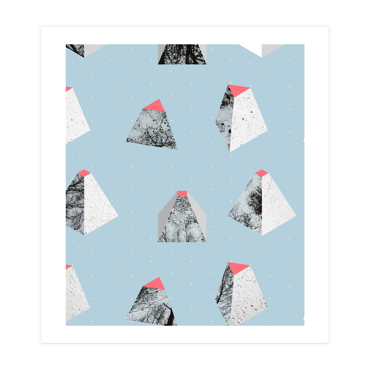 Because I Can (Print Only)