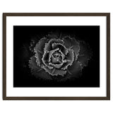 Backyard Flowers In Black And White No 101 thumbnail