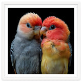 Two Lovebirds Nuzzle Together thumbnail