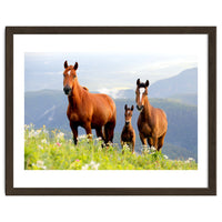 Three Horses