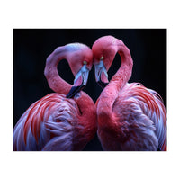 Two Pink Flamingos Forming A Heart Shape (Print Only)