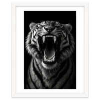 Roaring Tiger portrait