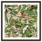 Tropical Bird Garden thumbnail