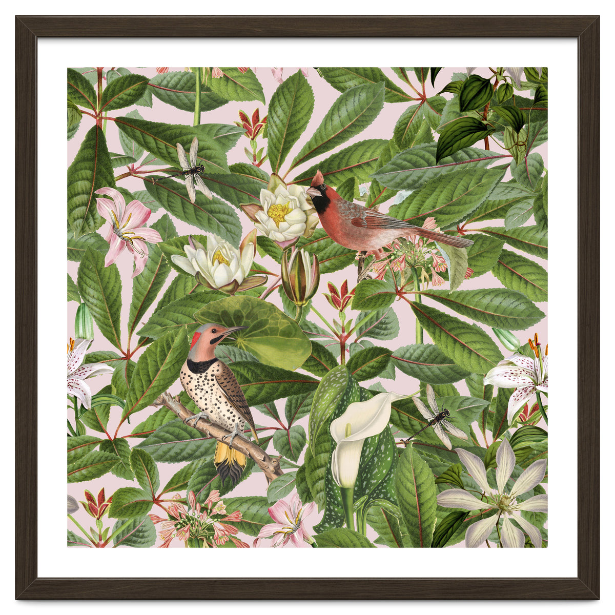 Tropical Bird Garden