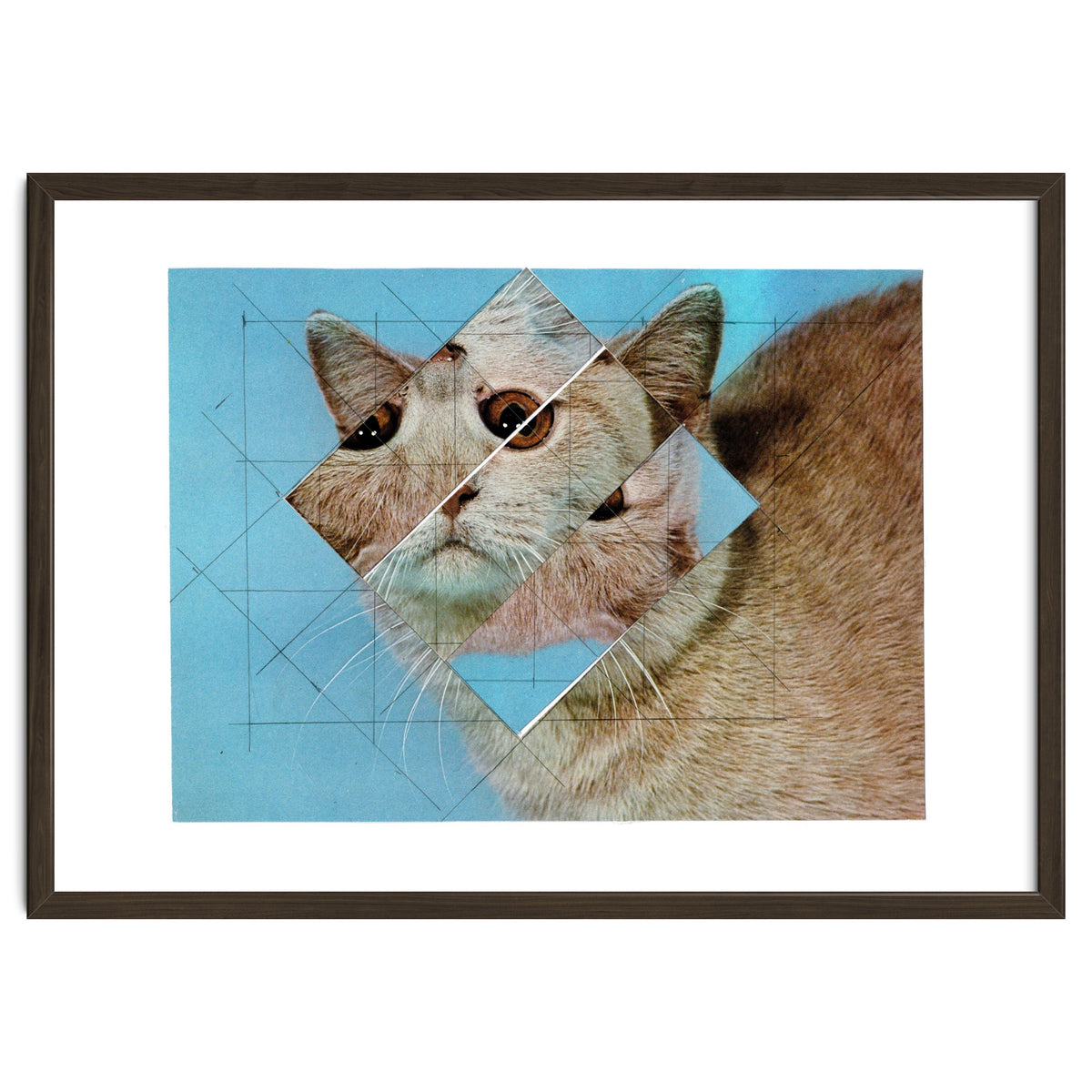 The Depressive Cat Am Abend Bekommt Den Blues