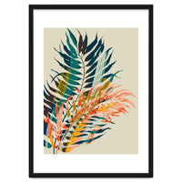 Colorful Palm Leaves