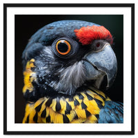 Close-up Portrait of a Vibrant Parrot