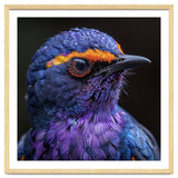 Close Up Portrait Of A Vibrant Exotic Bird thumbnail