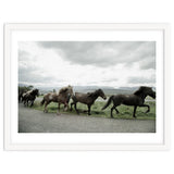 Running horses - Iceland thumbnail