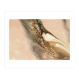Coastal Dunes (Print Only) thumbnail