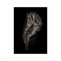 Leaves No 9 (Print Only)