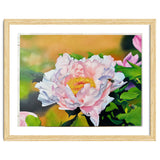 peony thumbnail