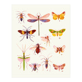 Beautiful Creatures (Print Only) thumbnail