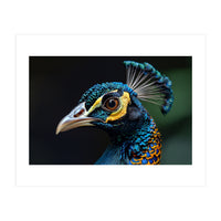 Close-up of a Peacock’s Head (Print Only)