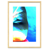 Aqua Fire |  Sea Wall thumbnail