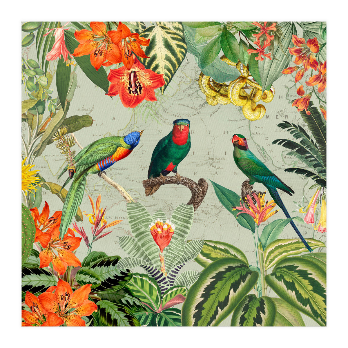 Exotic Parrots Jungle Landscape (Print Only)