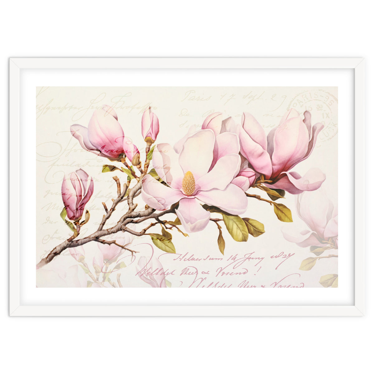 Magnolia Spring Romance Pink