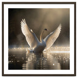 Graceful Swan Spreading Wings On Sparkling Water thumbnail