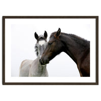 Two Horses