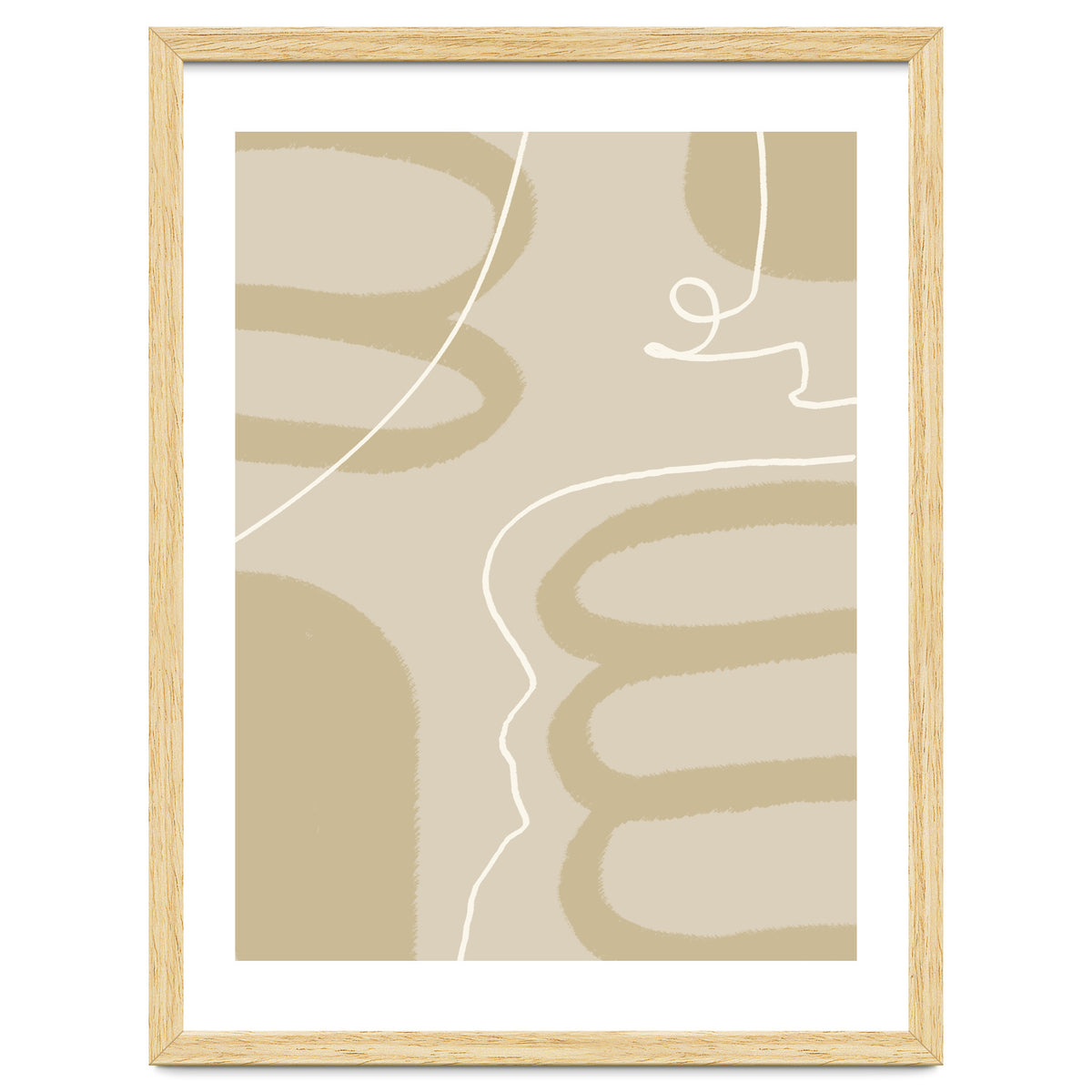 Harmony of Lines and Shapes