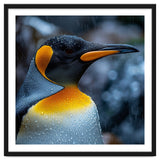 Close Up Of King Penguin In The Rain thumbnail