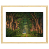Soft morning light thumbnail
