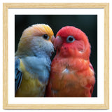 Two Lovebirds Nuzzling Close Up Portrait thumbnail