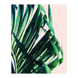 Palm V2 (Print Only) thumbnail
