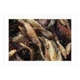Fish01 (Print Only) thumbnail