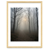 Ethereal Morning Light Breaking Through Dense Forest Fog thumbnail