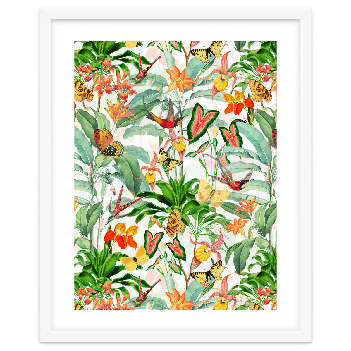 Birds And Butterflies In Tropical Jungle