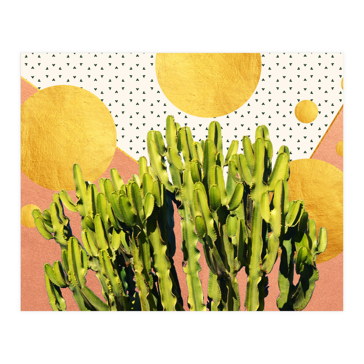 Cactus Dream #society6 #decor #buyart (Print Only)