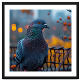 Pigeon With Water Droplets thumbnail