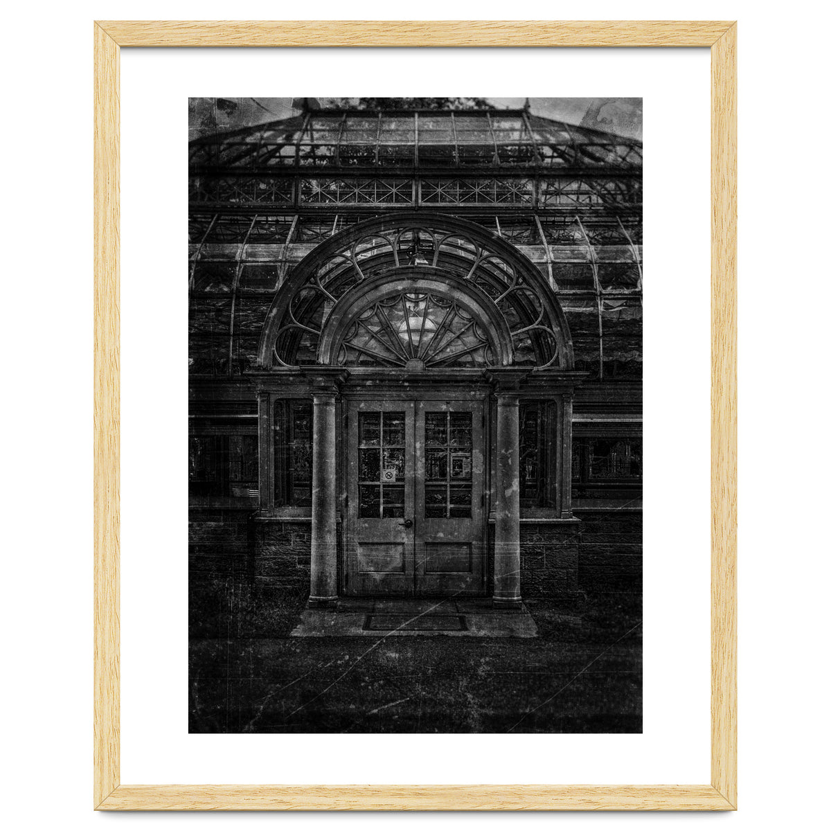 Allan Gardens Conservatory Palm House No 5 Old Film Version